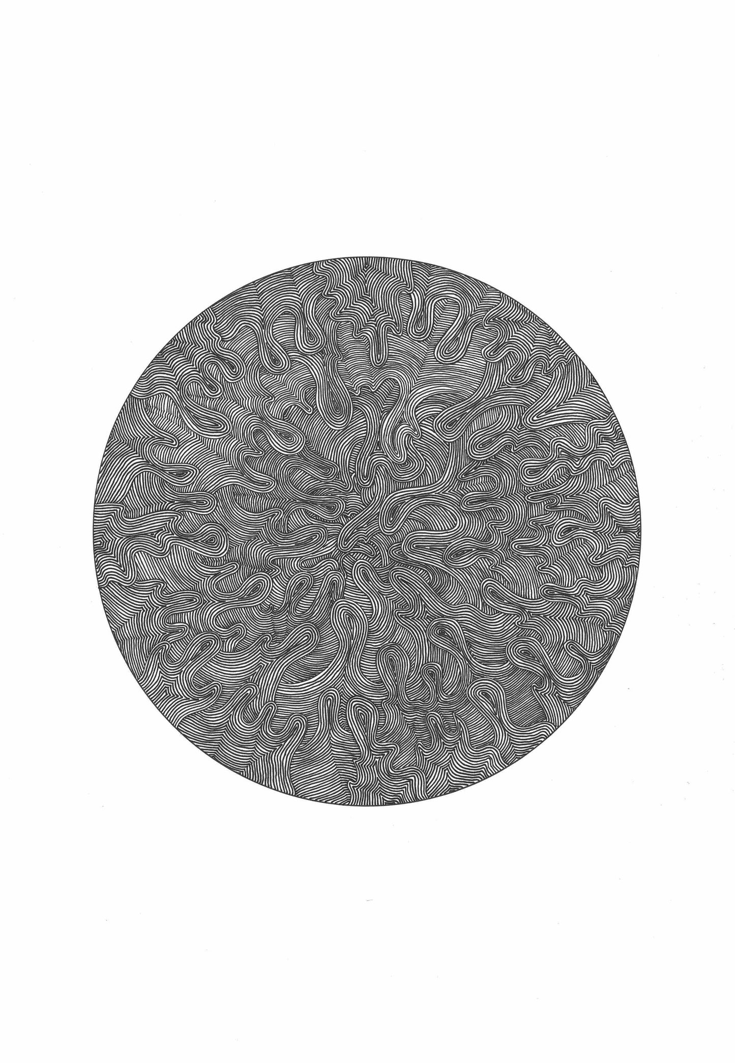 The Moon