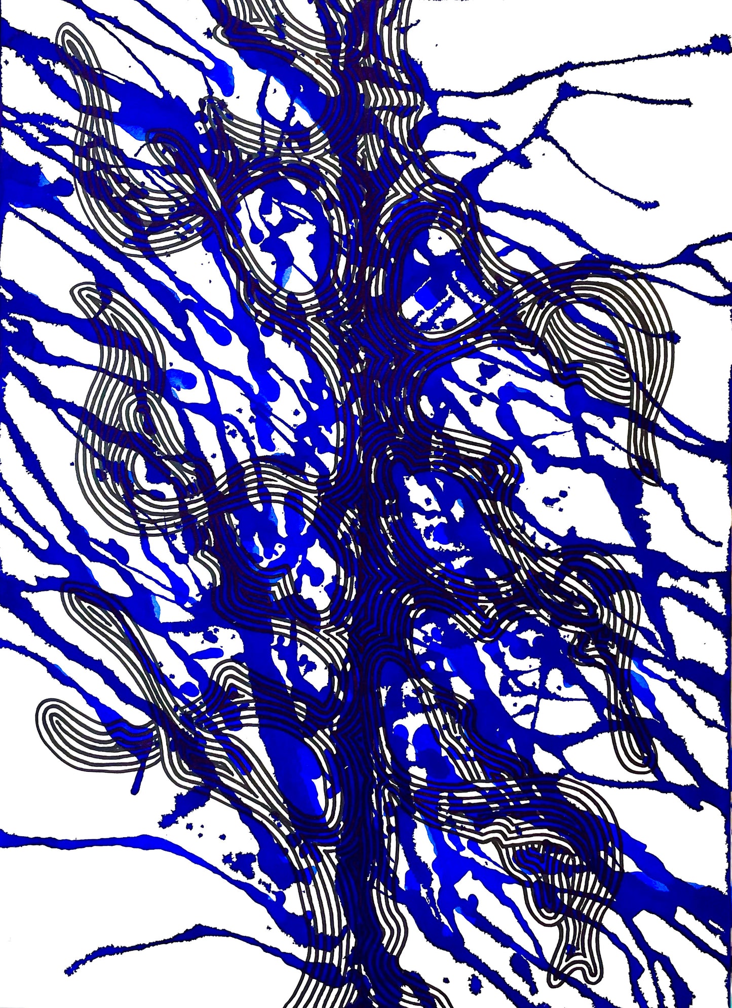 Call of the blue