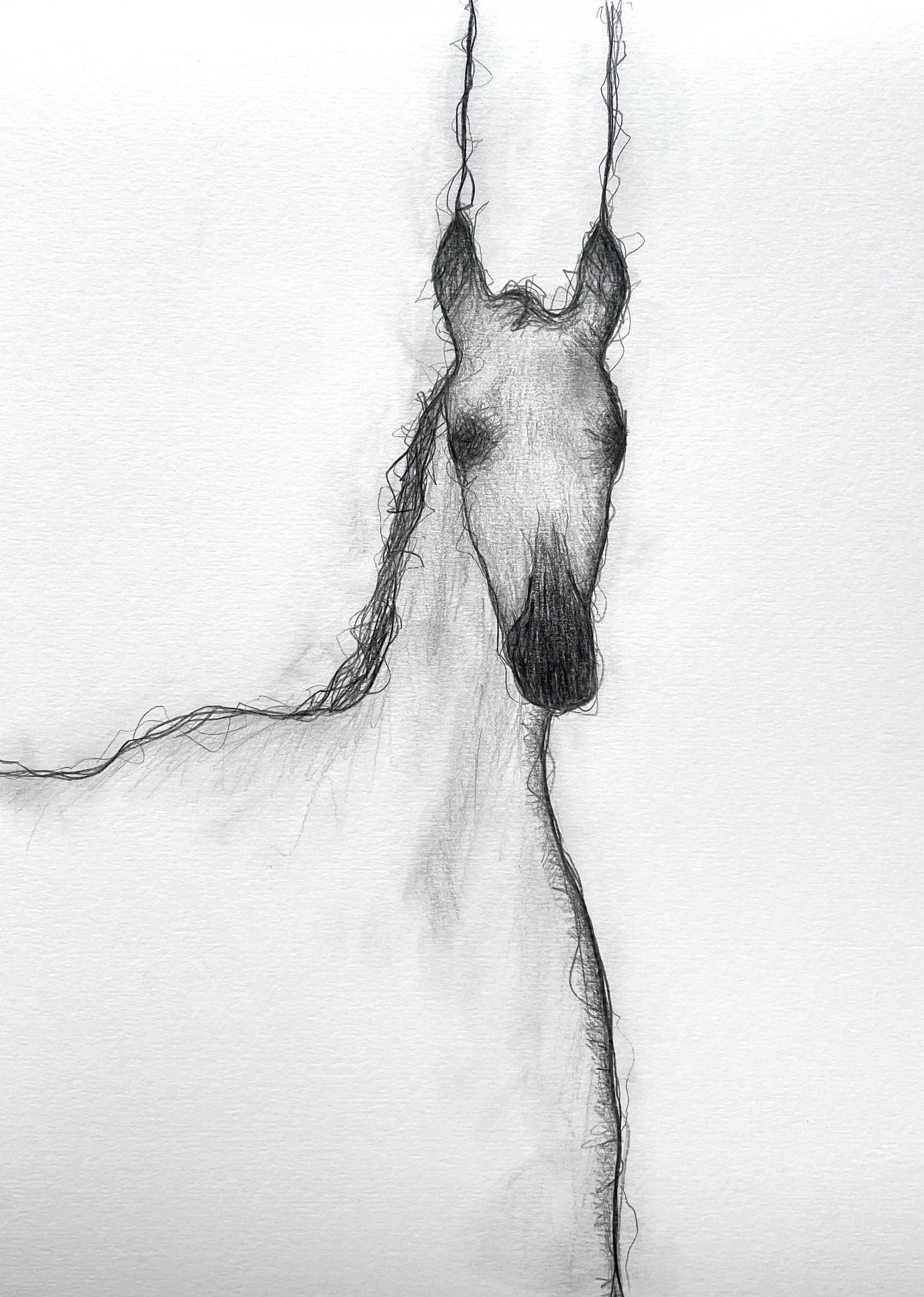 Horsy III
