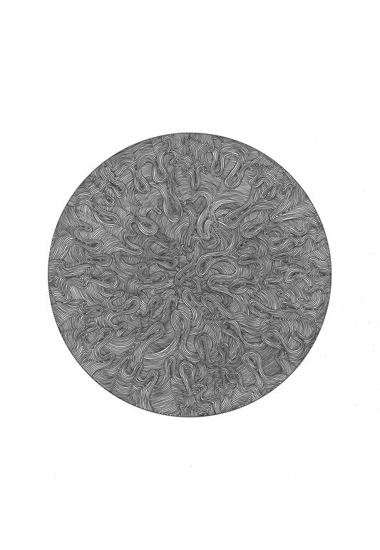 The Moon